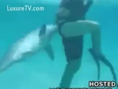 In the water, a dolphin pursues a woman.